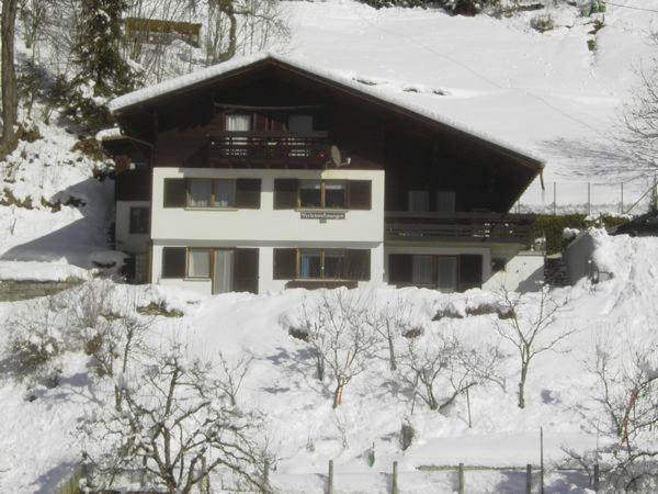 Gaestehaus Andrea Schruns Kültér fotó